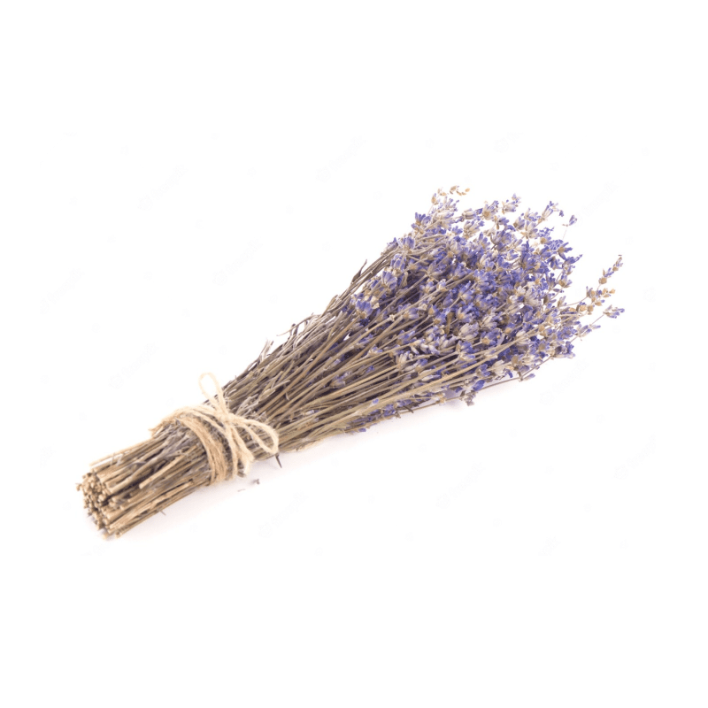 Ramo de Alfazema natural