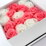 Rosas Preservadas Rosa