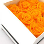 rosas_preservadas_amarelas
